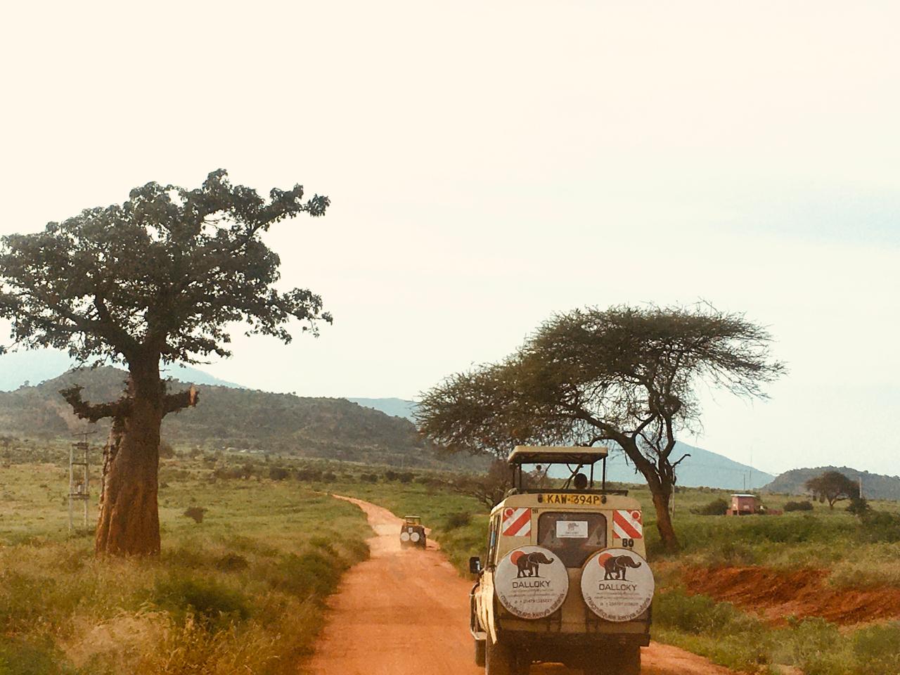 Amboseli Kilimanjaro Safari