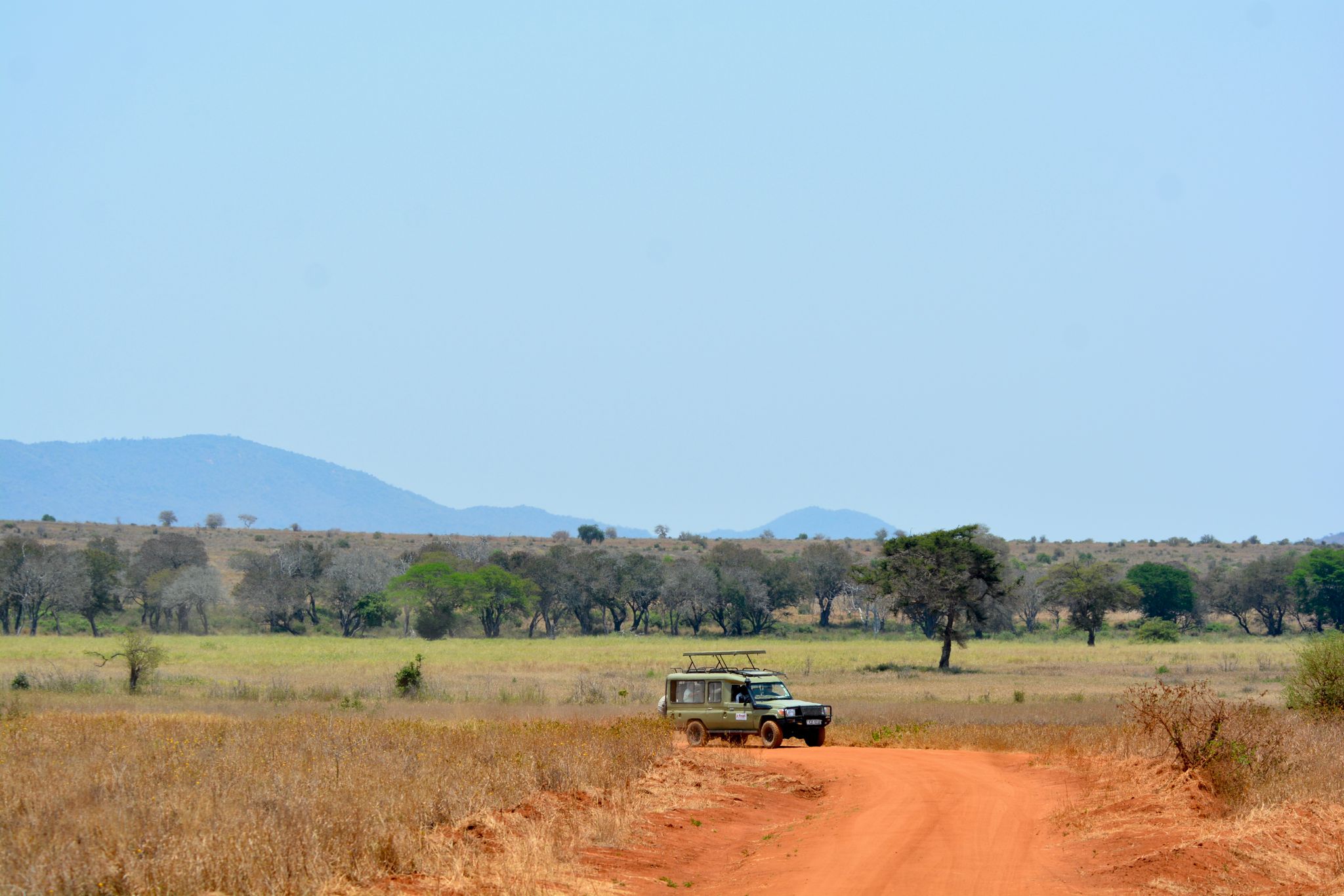 Samburu Safari