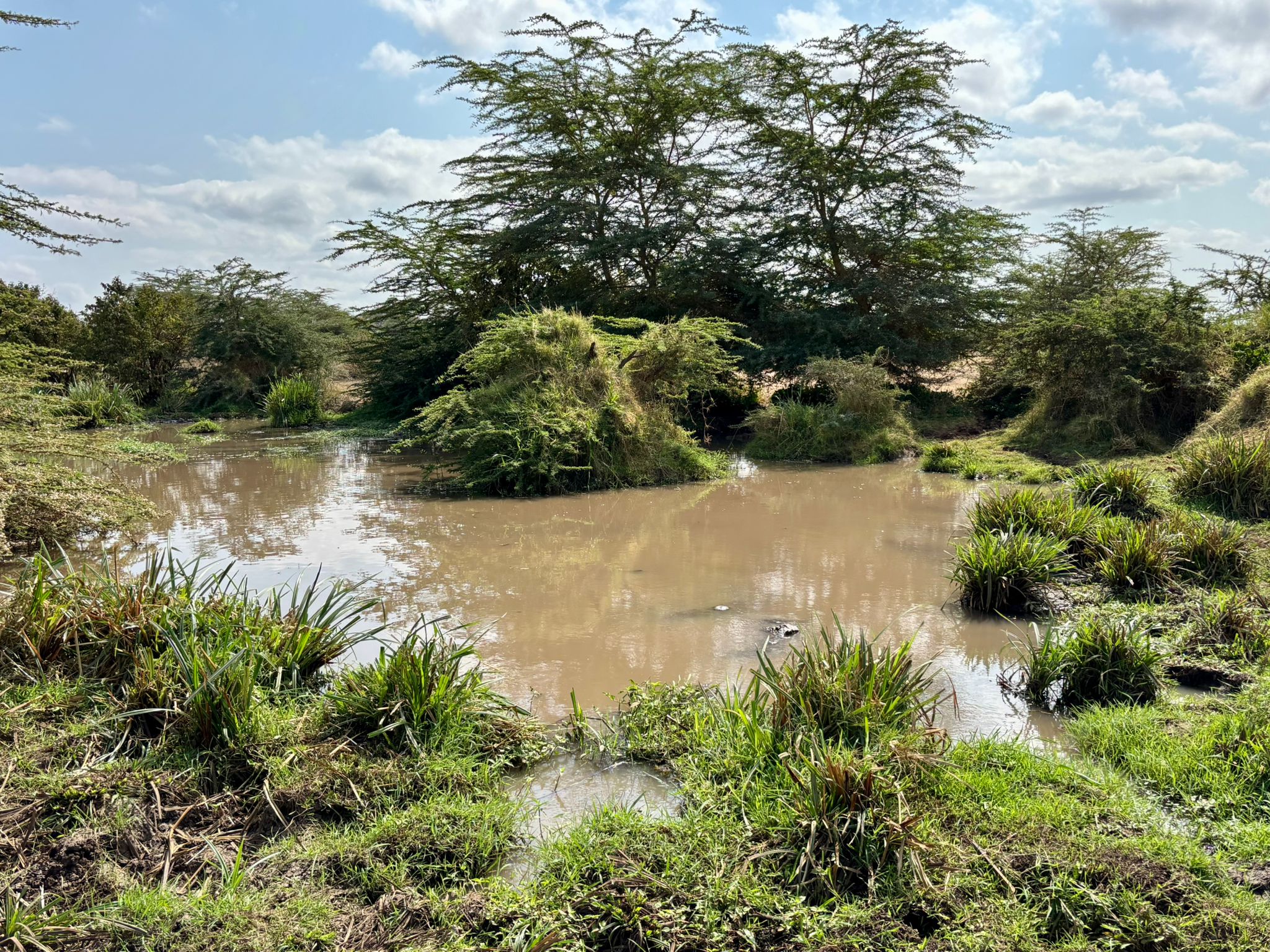 Tsavo East West Safari